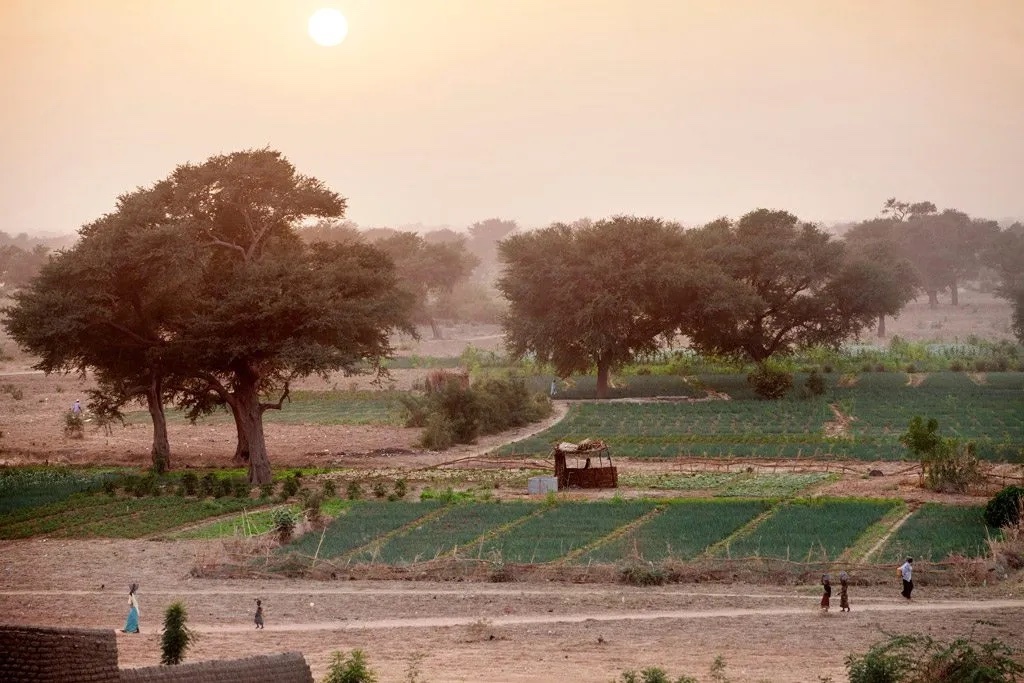 The Great Green Wall for the Sahara and the Sahel Initiative supports local communities in the sustainable management of drylands. Image: United Nations