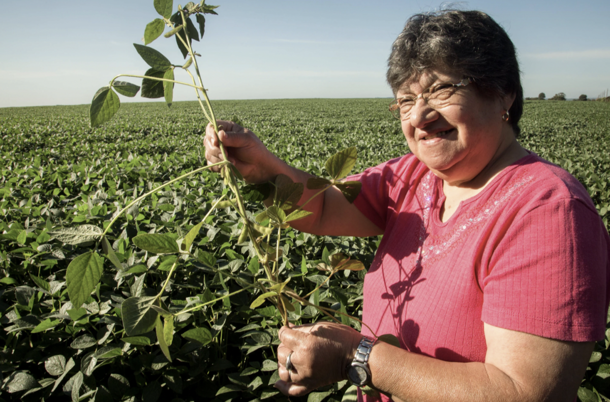 Contributing funds social and environmental benefits to 'build back better.' Photo: UNDP Paraguay