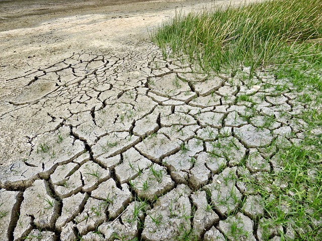 Focus on climate change and mental health