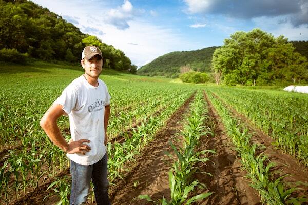 The Fairtrade system is designed to make sure farmers and workers get a fair deal for the products they grow. Photo by Gregory Hayes: Unsplash