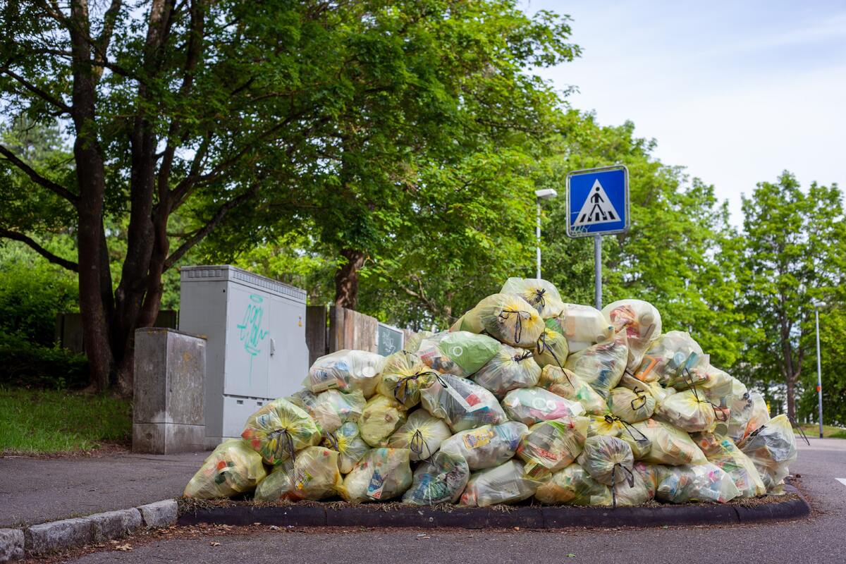 The United Nations Environment Programme (Unep) reports that a third of food produced is wasted or lost. Photo by Jasmin Sessler on Unsplash