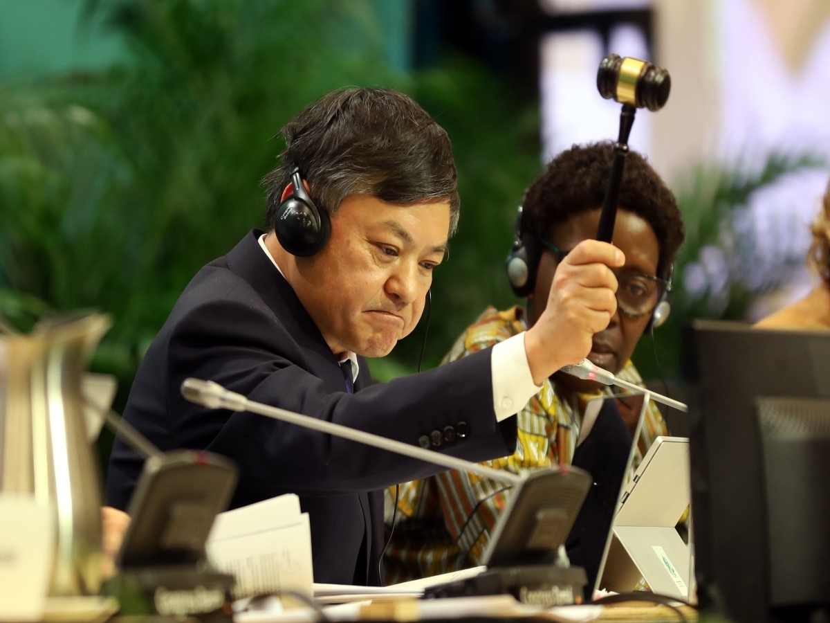 COP15 president Huang Runqiu, China's ecology and environment minister bringing the gavel down. Photo by IISD/ENB photographer Mike Muzurakis