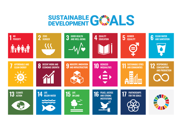 The half way point: Marking SDG progress towards 2030
