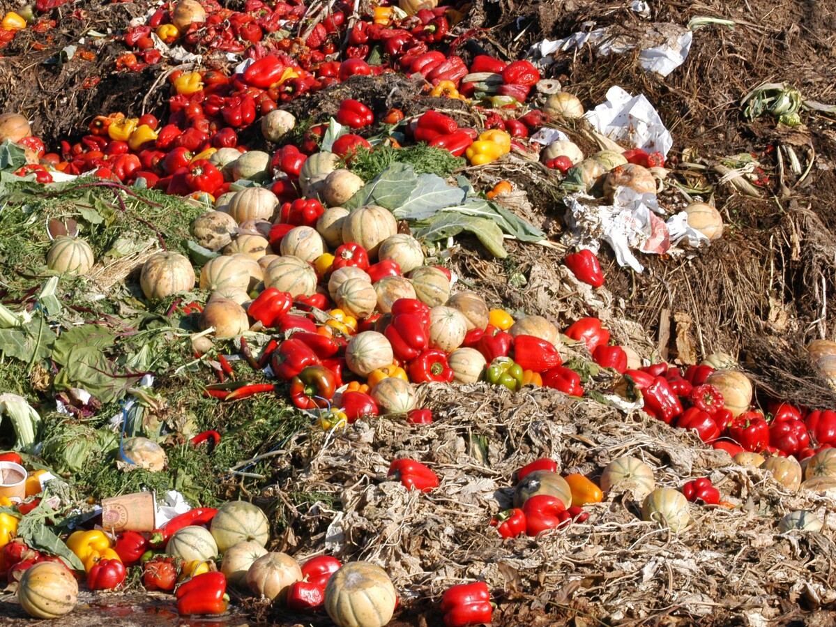 Food waste Eberhard Adobe stock.jpeg