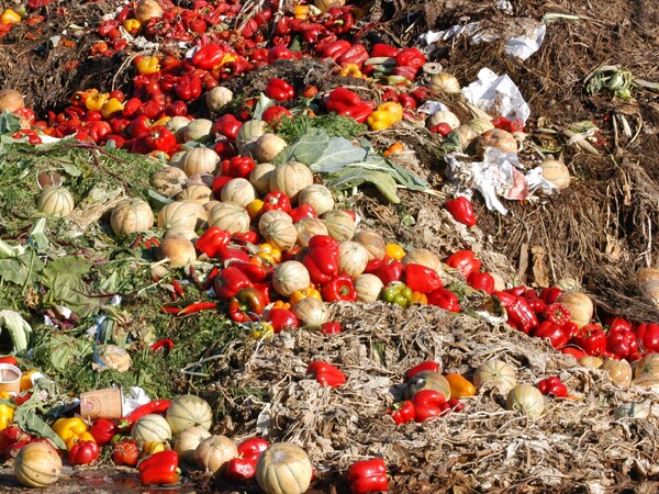 EU law to consider citizens' recommendations on food waste