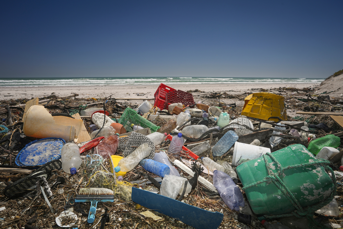 Plastic pollution. Photo courtesy of Shutterstock